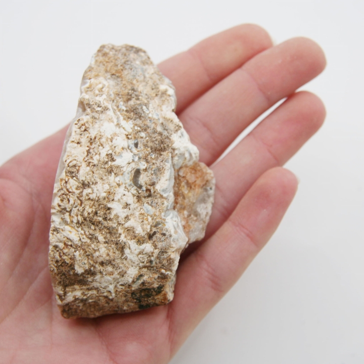 Geoda agatowa – naturalny przekrój ukazujący strukturę minerału
