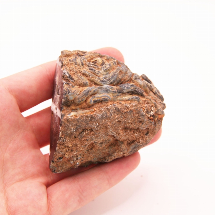 Naturalna geoda agatowa (połówka) - w kolorze brązowym.