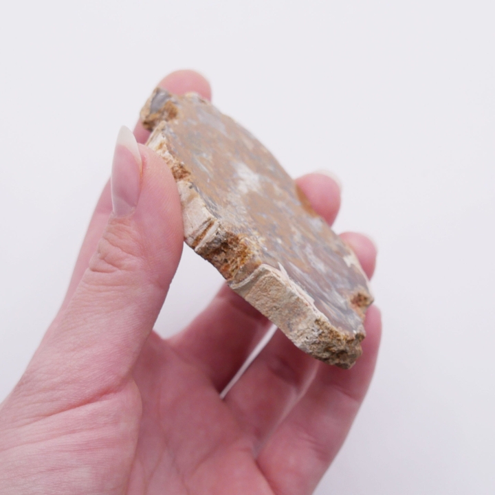 Naturalna podkładka z kamienia – plaster prehistorycznego pnia.
