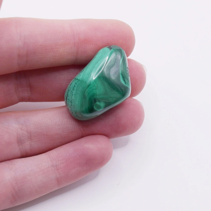 Polerowany otoczak malachitu o intensywnej zielonej barwie na białym tle.