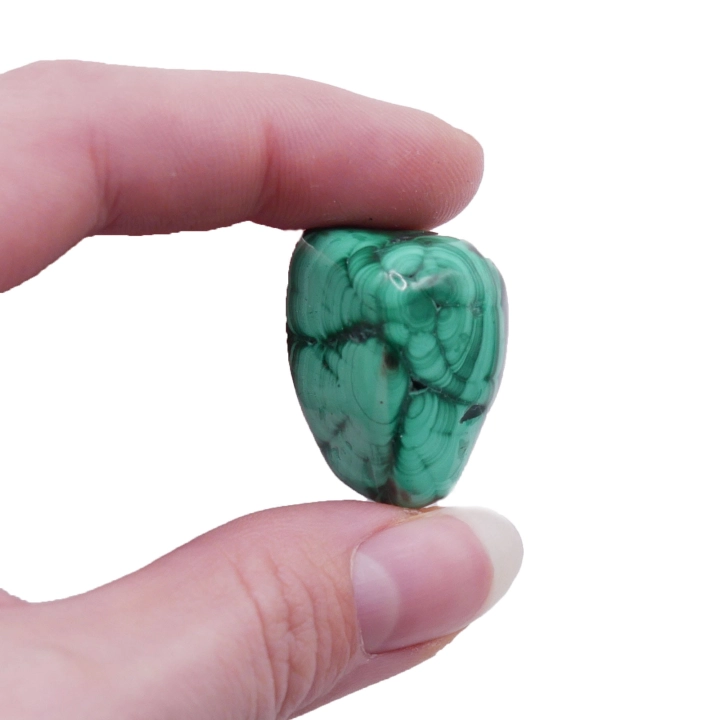 Gładki otoczak malachitu o intensywnej zieleni i pasmowym wzorze na białym tle.