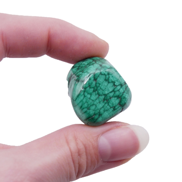 Gładki otoczak malachitu o intensywnych zielonych wzorach na białym tle.