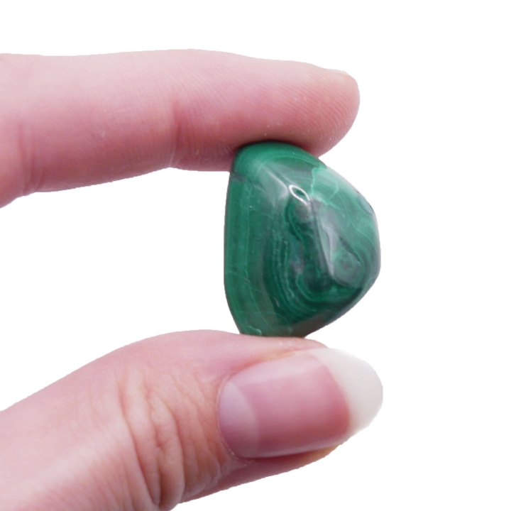 Gładki kamień malachitu o intensywnych, zielonych pasmach na białym tle.