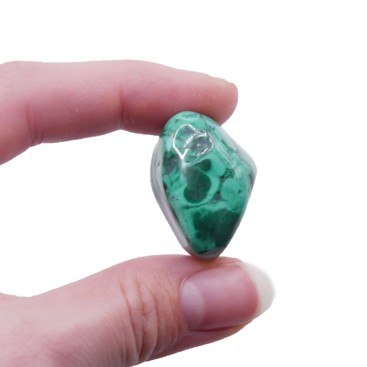 Polerowany kamień malachitu o butelkowej zieleni na białym tle.