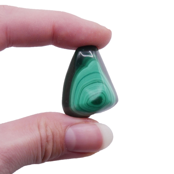 Polerowany otoczak malachitu z widocznymi pasmami na białym tle.