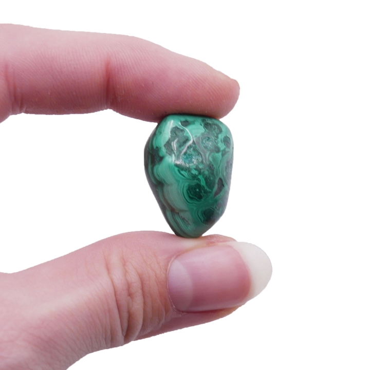 Gładki otoczak malachitu o intensywnym, pasiastym wzorze na białym tle.