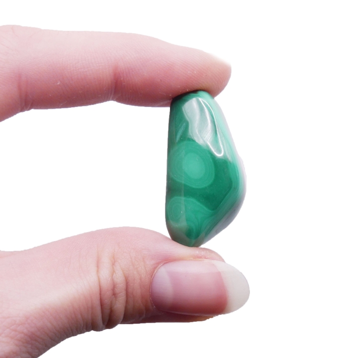 Gładki otoczak malachitu o hipnotyzującym, zielonym wzorze na białym tle.