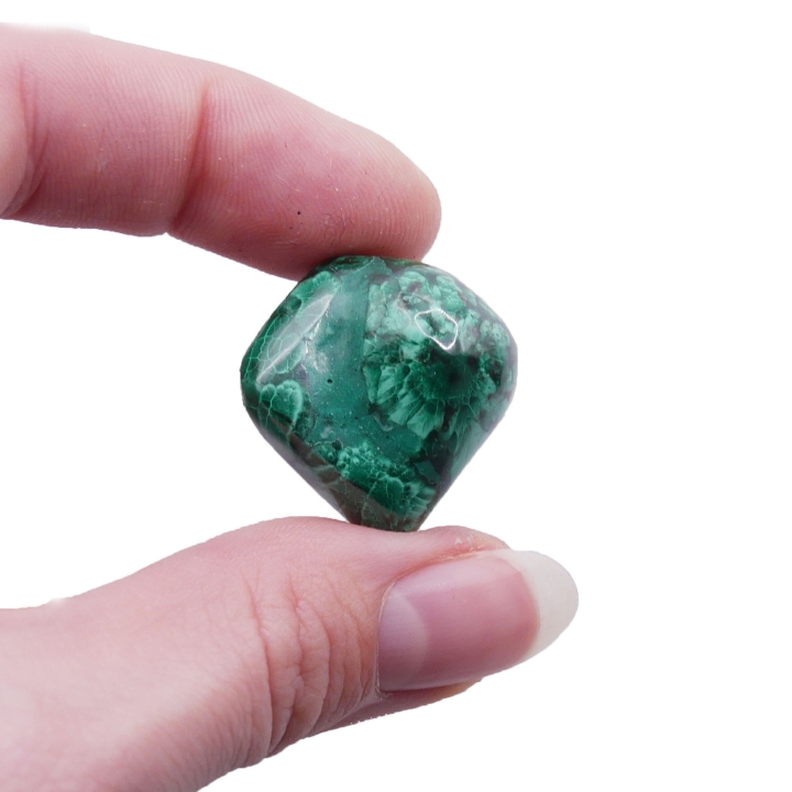 Gładki otoczak malachitu o nasyconej, zielonej barwie na białym tle.