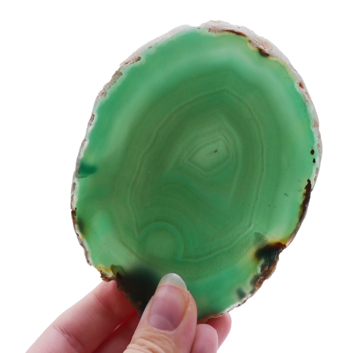 Dwustronnie polerowany plaster zielonego agatu o nieregularnym kształcie na białym tle.