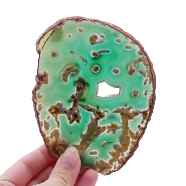 Dwustronnie polerowany plaster zielonego agatu o nieregularnym kształcie na białym tle.