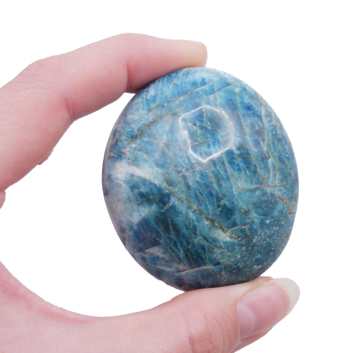 Polerowany otoczak apatytu o głębokim, turkusowym kolorze na białym tle.