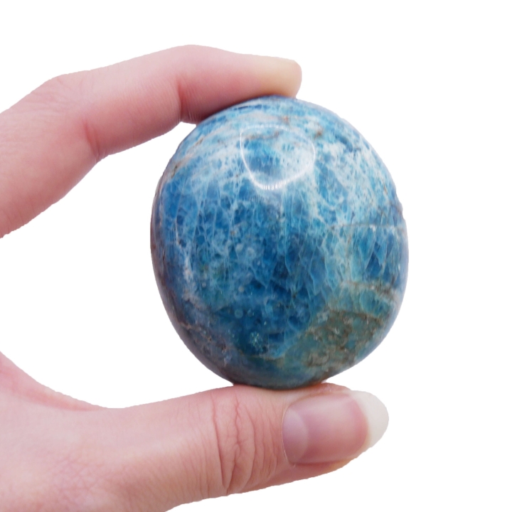 Polerowany otoczak apatytu o głębokiej, niebieskiej barwie na białym tle.