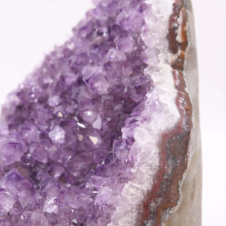 Stojąca szczotka ametystu nr 011 – widok na gęste skupisko fioletowych kryształów o naturalnym połysku.