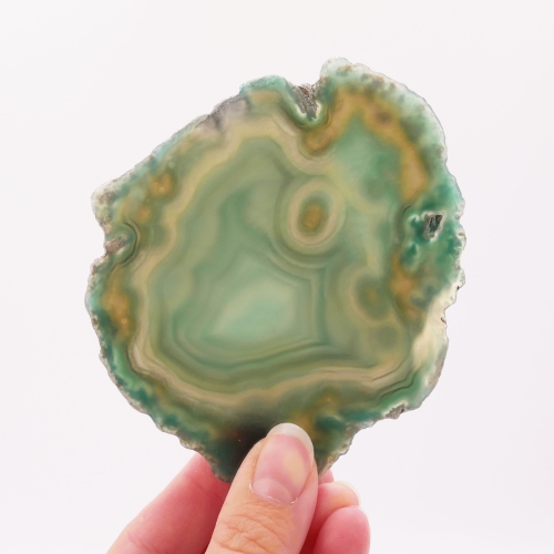 Prześwitujący plaster agatu, ukazujący wewnętrzne pasma i strukturę w odcieniach zieleni.