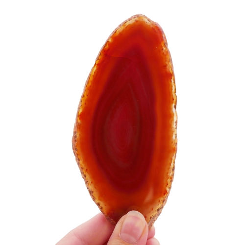 Dwustronnie polerowany plaster pomarańczowego agatu o nieregularnym kształcie na białym tle.