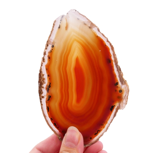 Pomarańczowy plaster agatu nr 079 – dwustronnie polerowana płytka z wyraźnym układem warstw.