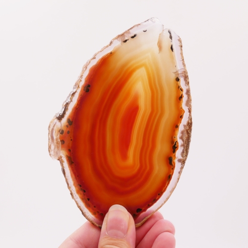 Plaster agatu nr 079 podświetlony od tyłu – prezentacja naturalnej translucencji minerału.