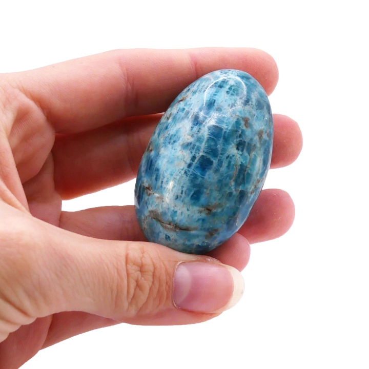 Polerowany otoczak apatytu o intensywnej, morsko-niebieskiej barwie na białym tle.