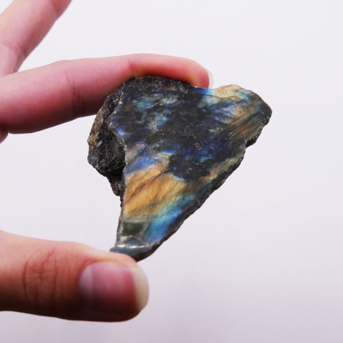 Niebiesko-złota gra barw na polerowanym froncie surowej bryłki labradorytu na białym tle.