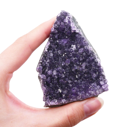 Szczotka krystaliczna ametystu z licznymi, fioletowymi kryształami na białym tle.