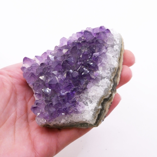 Pionowy widok na szczotkę ametystową, ukazujący gęste skupisko kryształów.