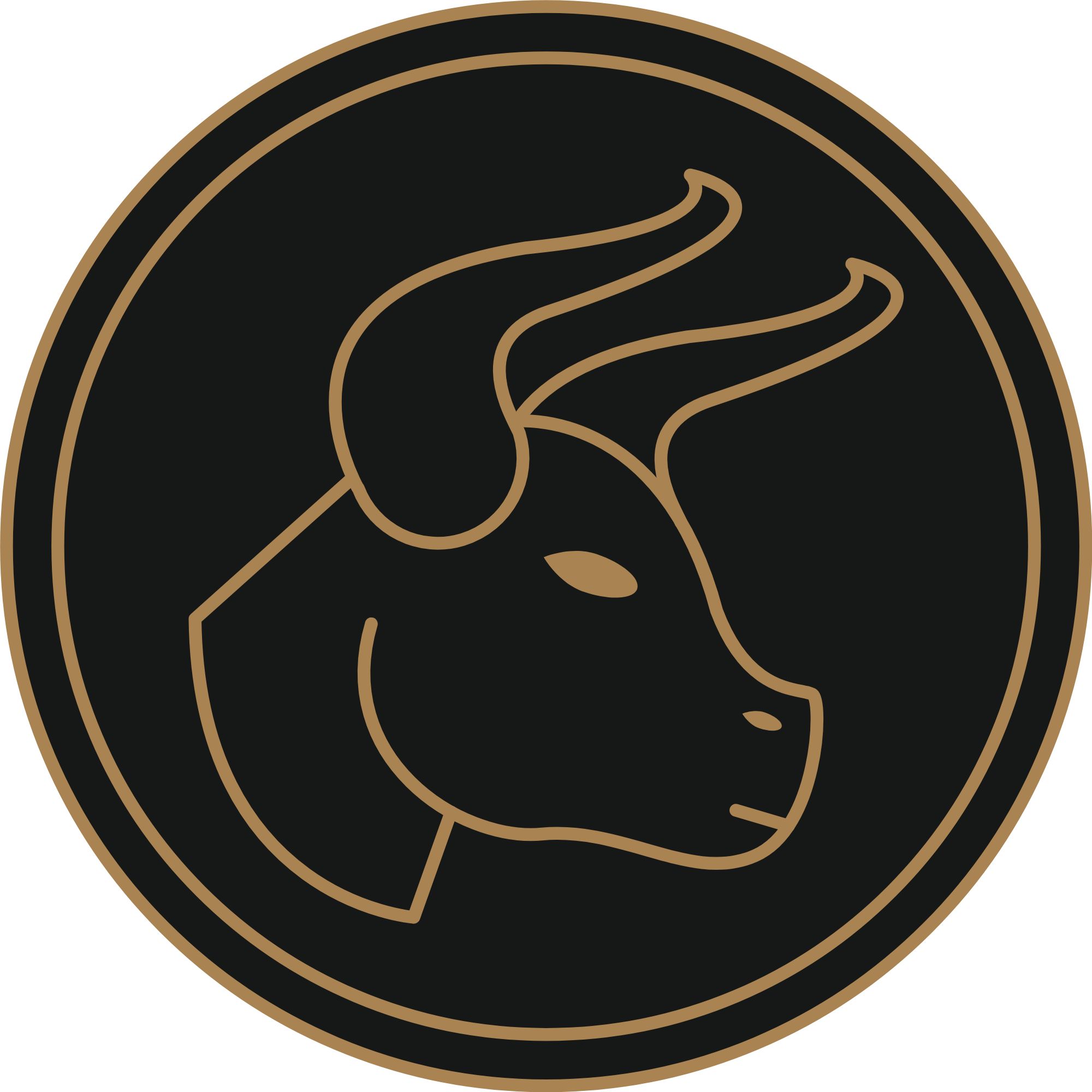 Jakie kamienie dla zodiakalnego Byka? Poradnik
